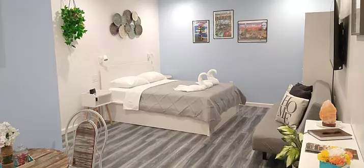 Top 12 Airbnb Vacation Rentals Near Busch Gardens Tampa, Florida