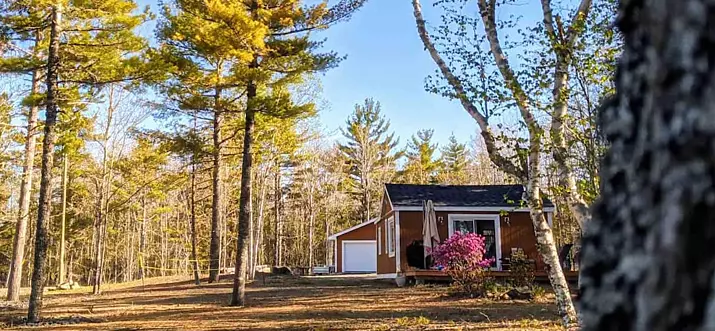 10 Handpicked Pet-Friendly Airbnbs In Nova Scotia, Canada