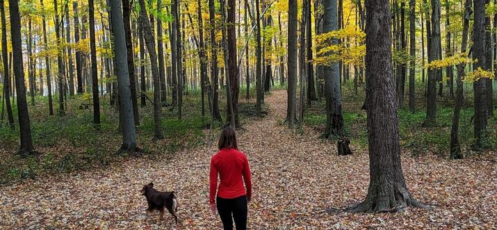pet friendly airbnb ohio