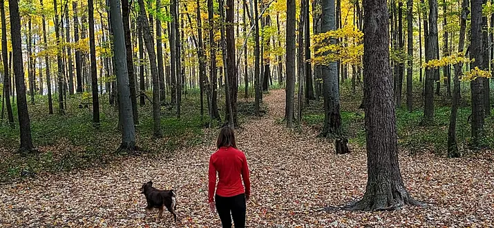 10 Best Pet-Friendly Airbnbs In Ohio, USA