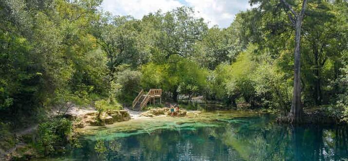luxury cabins on the suwannee river
