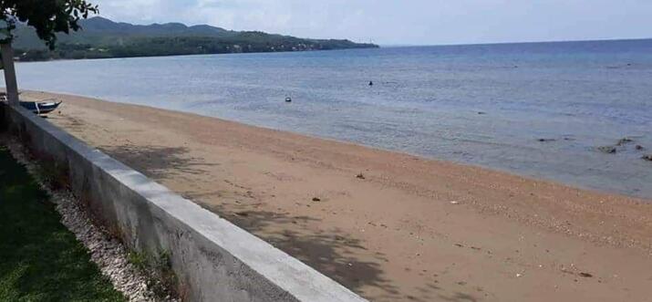 danao beach resorts