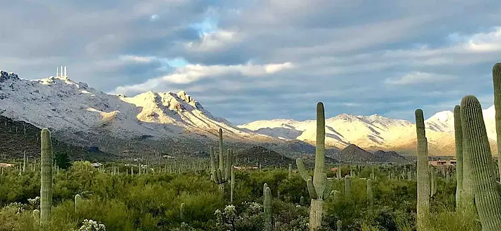 6 Best Cabin Rentals Near Tucson, Arizona
