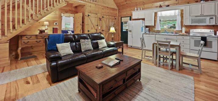 beech mountain cabin rentals pet friendly
