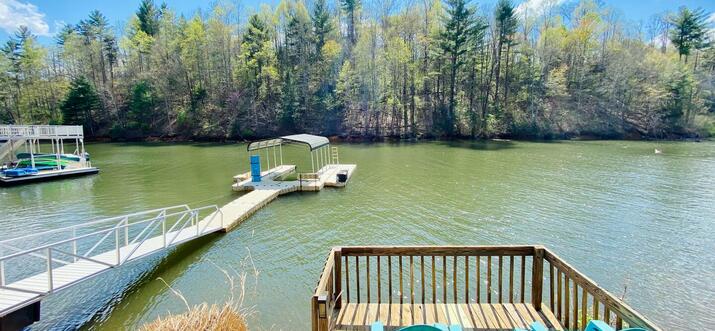 watauga lake cabin rentals pet friendly
