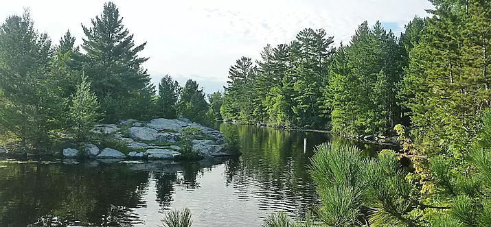 10 Best Cabin Rentals Near Grand Rapids, Minnesota