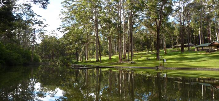 pet friendly accommodation pemberton