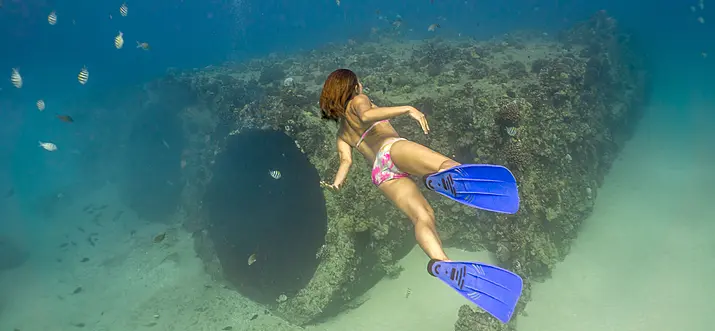 Snorkel And Scuba Dive With Tropical Fish At Electric Beach, Oahu 