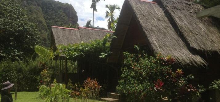 homestay harau