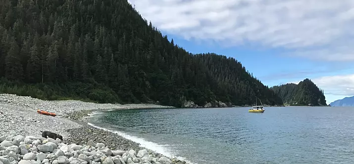 Top 4 Fishing Lodges Near Seward, Alaska