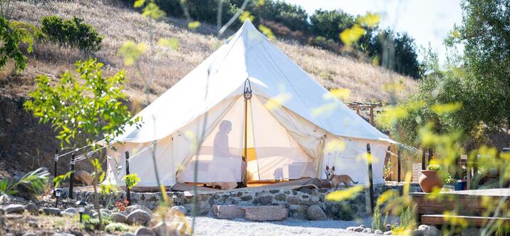 9 Best Glamping Spots Near Ensenada, Mexico