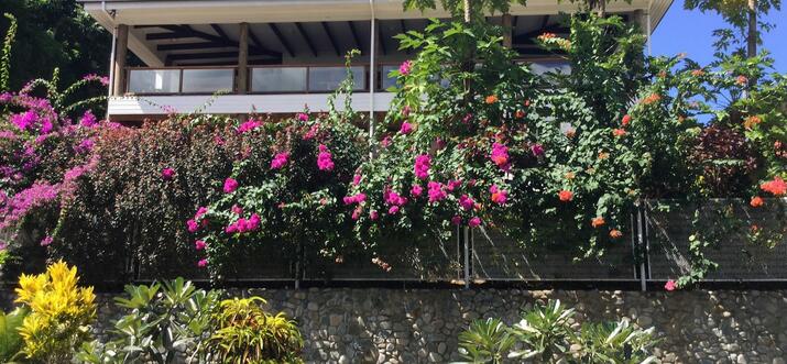 airbnb korotogo fiji
