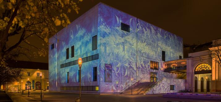 things to do in vienna at christmas