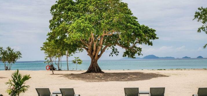 6 Best Beach Resorts In Carles, Philippines