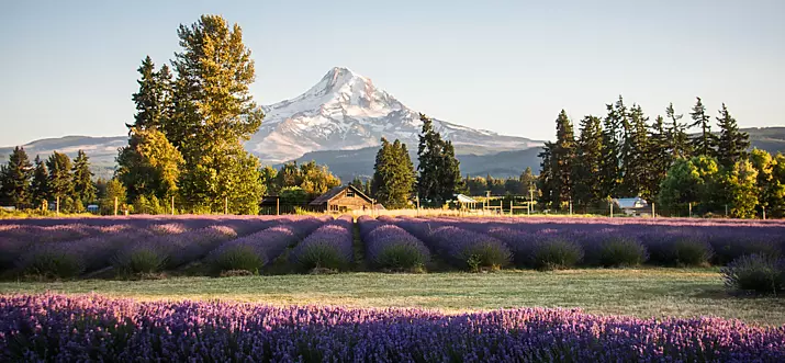 Top 10 Resort Towns In Oregon, USA