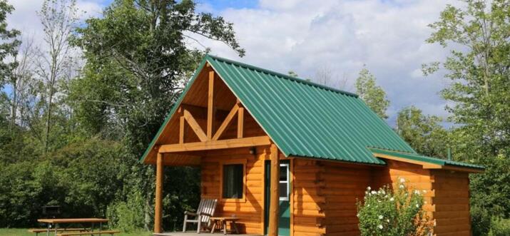 12 Handpicked Pet-Friendly Cabins Near Niagara Falls, New York