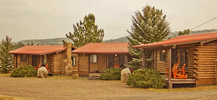 12 Best Pet-Friendly Cabins In Greer, Arizona