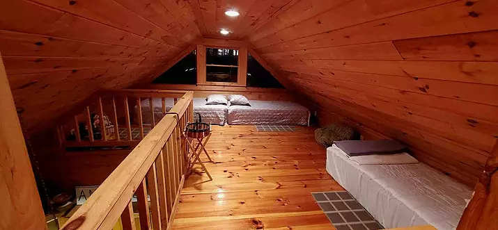 Top 12 Pet-Friendly Cabins Near Pine Mountain, Georgia