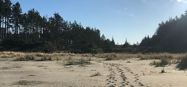 10 Handpicked Places To Surf And Stay In Washington, USA