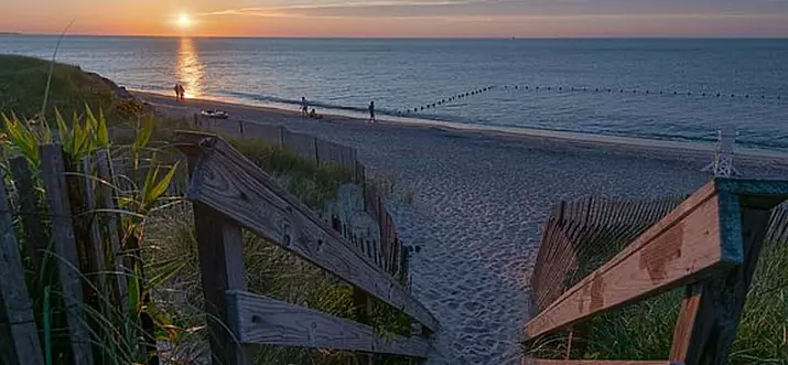 10 Handpicked Pet-Friendly Rentals In Montauk, New York