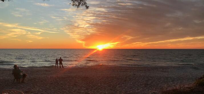 manasota key pet friendly rentals
