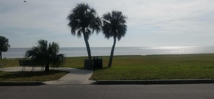 airbnb st petersburg fl beachfront