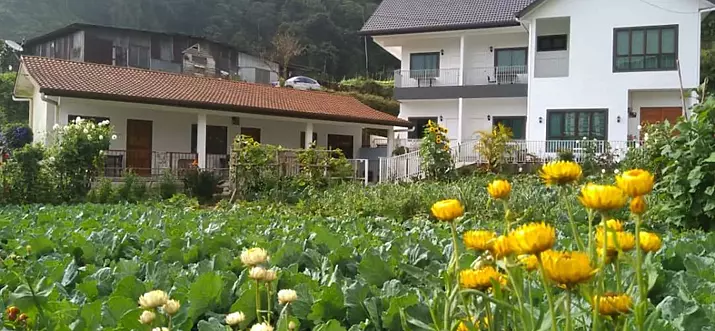 6 Handpicked Homestays In Brinchang, Malaysia