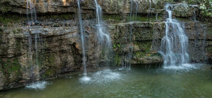 pet friendly accommodations branson missouri