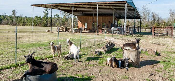 ranches in louisiana