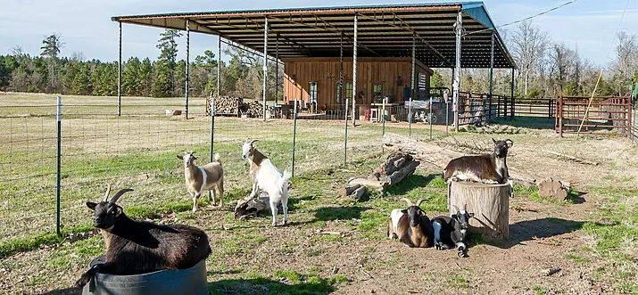 10 Best Ranches To Stay In Louisiana, USA