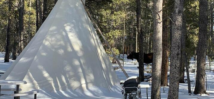 2 Handpicked Glamping Spots In Breckenridge, Colorado