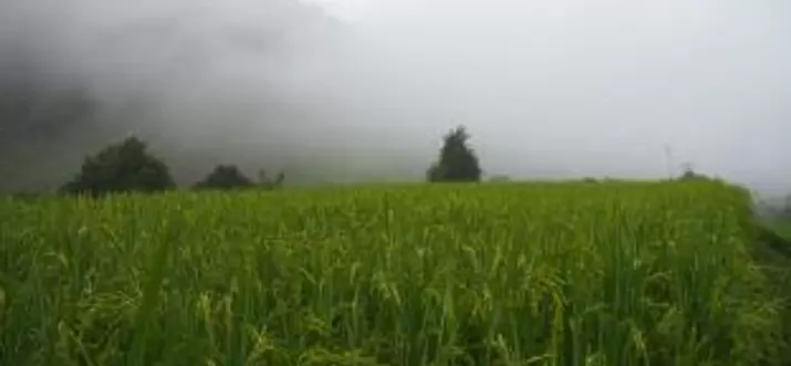 泰國清邁 10 家農家民宿推薦