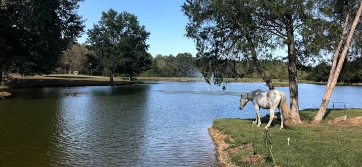 ranches in mississippi
