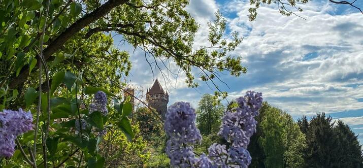 castle hotels nuremberg