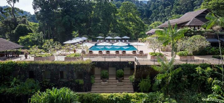 rainforest resort