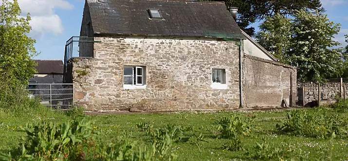 10 Best Pet-Friendly Rentals In Ireland