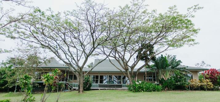 ranches in maui