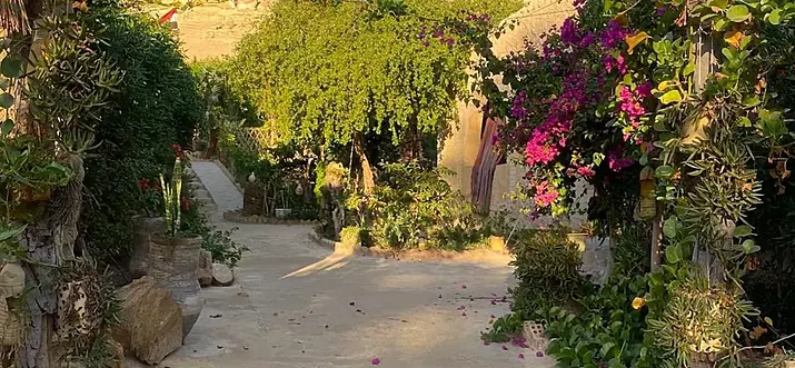 6 Best Hotels In Siwa Oasis, Egypt
