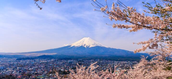 japanese experience in Japan