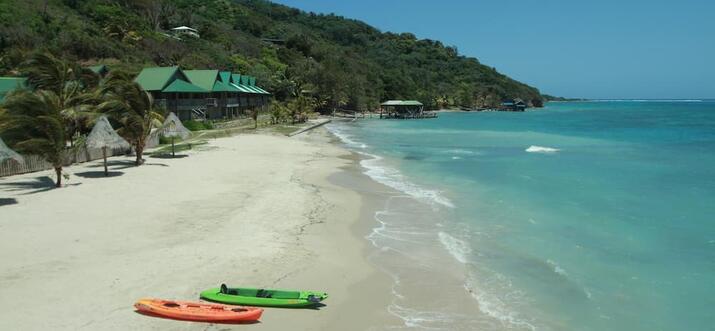 Top 5 Dive Resorts In Guanaja, Honduras - Updated 2024