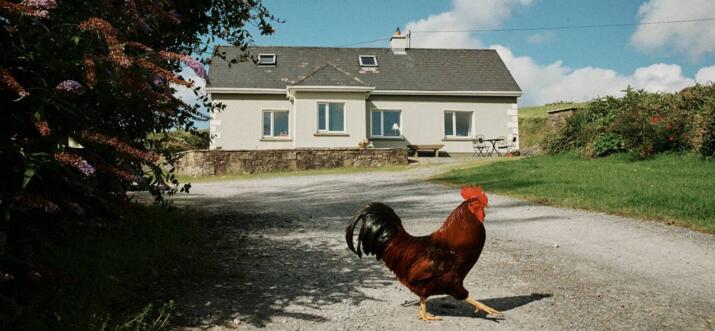 Top 10 Ranches To Stay In Ireland