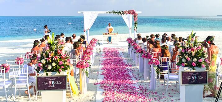 airbnb wedding in United States of America