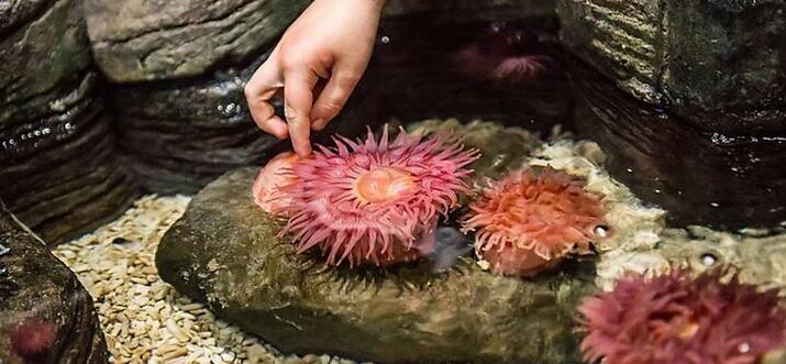 indoor things to do in minnesota