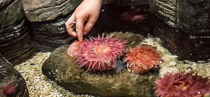 10 Best Things To Do Indoors In Minnesota, USA