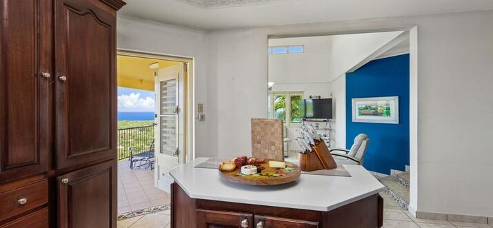 puerto rico villas with chef