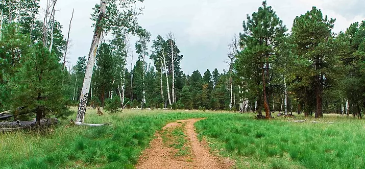 Top 10 Cheap Cabin Rentals Near Sedona, Arizona