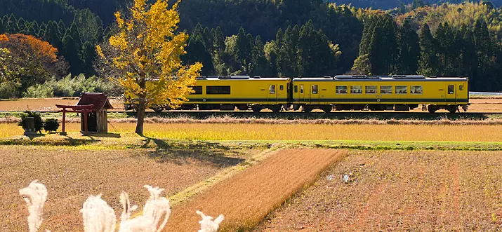 Top 10 Recommended Destinations To Visit In Japan In March