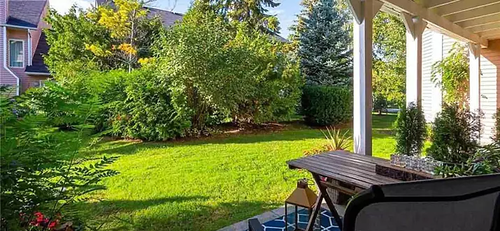 10 Handpicked Pet-Friendly Airbnbs In Collingwood, Canada
