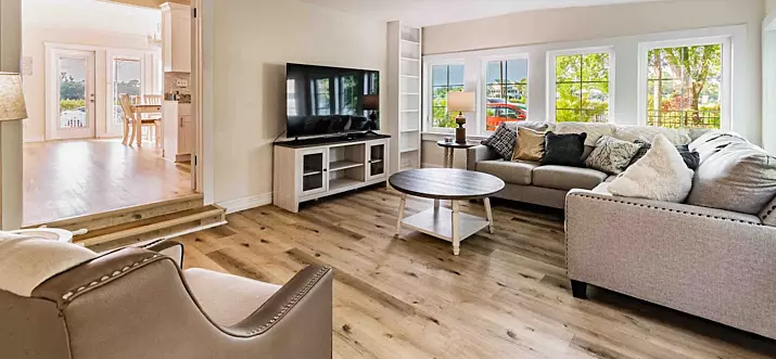 Top 10 Pet-Friendly Airbnbs In Tarpon Springs, Florida