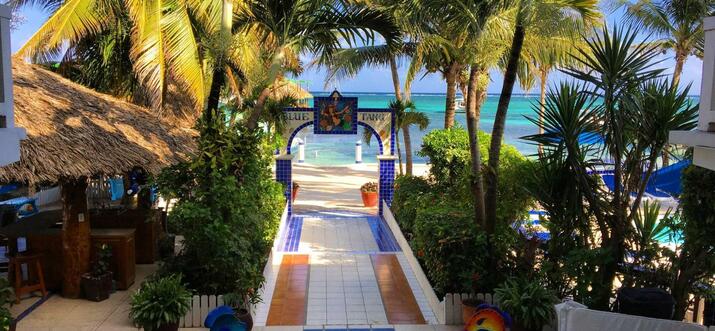 belize beachfront hotels